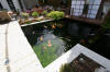 The koi pond of ZOOM 1  46 