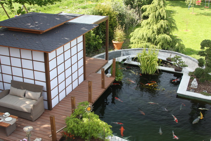 The koi pond of Zoom  2 