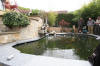 Petit bassin à koi en Alsace : les premières photos  43 