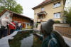 Petit bassin à koi en Alsace : les premières photos  32 