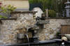 Petit bassin à koi en Alsace : la suite photos  12 