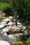 bassin a Koï dans un jardin Alsace 2007 - 2  32 