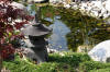 bassin a Koï dans un jardin Alsace 2007 - 3  23 