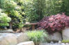 bassin a Koï dans un jardin Alsace 2007 - 3  4 