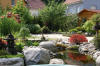 bassin a Ko dans un jardin Alsace 2007 - 4  6 