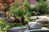 bassin a Ko dans un jardin Alsace 2007 - 4  5 