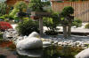 bassin a Koï dans un jardin Alsace 2007 - 5  38 