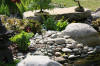 bassin a Koï dans un jardin Alsace 2007 - 5  37 