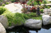 bassin a Koï dans un jardin Alsace 2007 - 5  28 