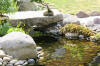 bassin a Koï dans un jardin Alsace 2007 - 5  27 