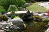 bassin a Koï dans un jardin Alsace 2007 - 5  26 