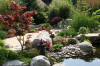 bassin a Koï dans un jardin Alsace 2007 - 5  30 