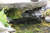 bassin a Koï dans un jardin Alsace 2007 - 5  29 
