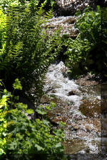 Le bassin de bandito en 2005 - La cascade  5 