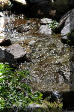 Le bassin de bandito en 2005 - La cascade  9 
