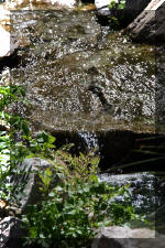 Le bassin de bandito en 2005 - La cascade  17 