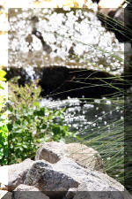 Le bassin de bandito en 2005 - La cascade  16 