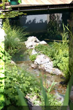 Le bassin de bandito en 2005 - Le bassin 2  17 
