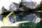 Le bassin de bandito en 2005 - Le bassin 3  37 
