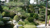 Un jardin Japonais au Japon set de photos 1  31 