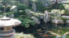 Un jardin Japonais au Japon set de photos 1  28 