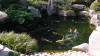 Un jardin Japonais au Japon set de photos 1  25 