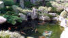 Un jardin Japonais au Japon set de photos 1  24 
