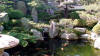 Un jardin Japonais au Japon set de photos 1  20 