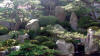 Un jardin Japonais au Japon set de photos 1  10 