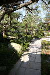Un jardin Japonais au Japon set de photos 2  29 