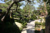 Un jardin Japonais au Japon set de photos 2  34 