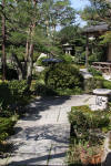 Un jardin Japonais au Japon set de photos 2  24 