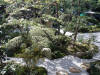 Un jardin Japonais au Japon set de photos 2  26 