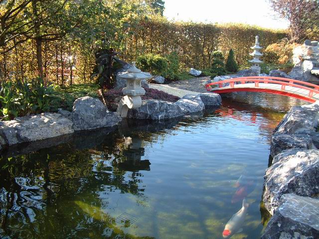 Création de bassin de jardin sur mesure - bassin carpe koi japon