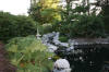 Garden party in Germany - le bassin - the pond 1  47 