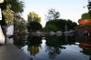 Garden party in Germany - le bassin - the pond 1  24 