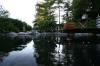 Garden party in Germany - le bassin - the pond 1  14 