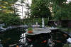 Garden party in Germany - le bassin - the pond 1  10 