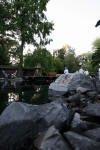 Garden party in Germany - le bassin - the pond 1  2 