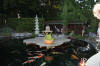 Garden party in Germany - le bassin - the pond 2  20 