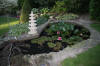 Garden party in Germany - le petit bassin naturel - the small natural pond   17 
