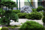 Purnod 3 un jardin japonais de rve  14 