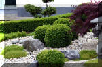 Purnod 3 un jardin japonais de rve  16 
