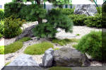 Purnod 3 un jardin japonais de rve  19 