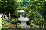 Purnod 4 un jardin japonais de rêve  2 