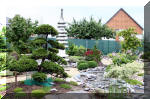 Purnod 5 un jardin japonais de rêve  13 