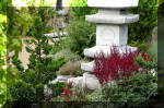Purnod 9 un jardin japonais de rêve  19 