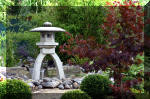 Purnod 10 un jardin japonais de rêve  11 