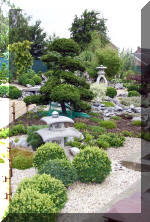 Purnod 8 un jardin japonais de rêve  12 