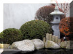 Bassin a koï et jardin Japonais Richert 1 - suite 1  5 
